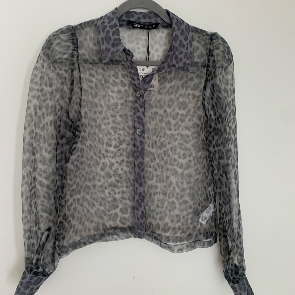 Zara sheer bottom up.